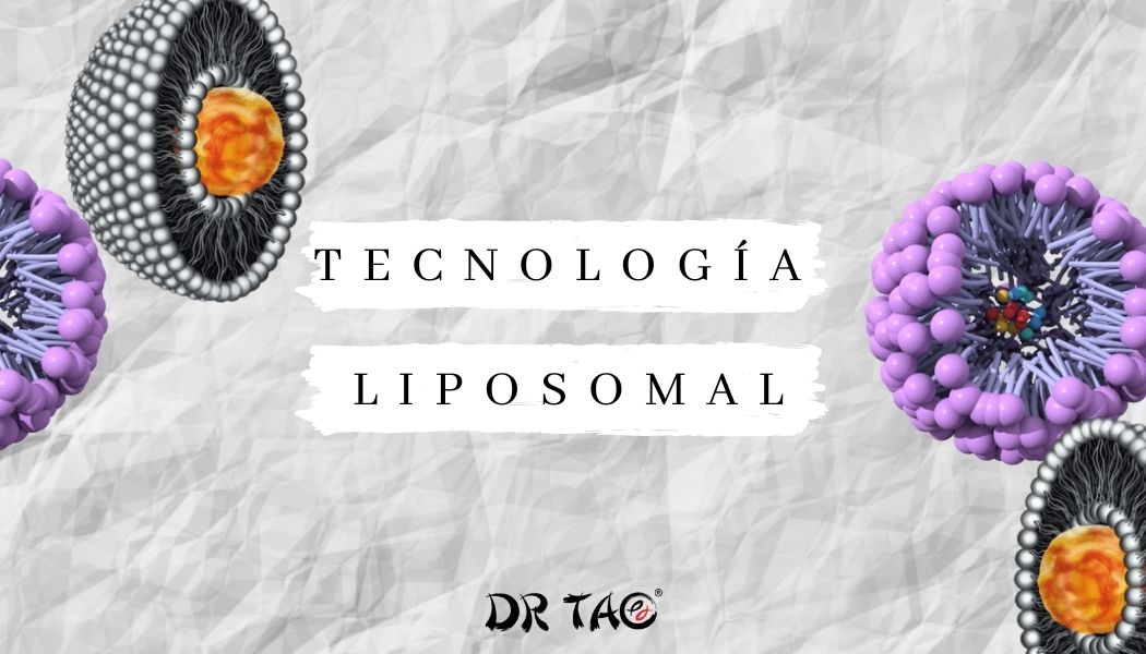 La tecnología liposomal transportan al cuerpo sustancias activas beneficiosas, estas pueden ser liposomas o micelas.
