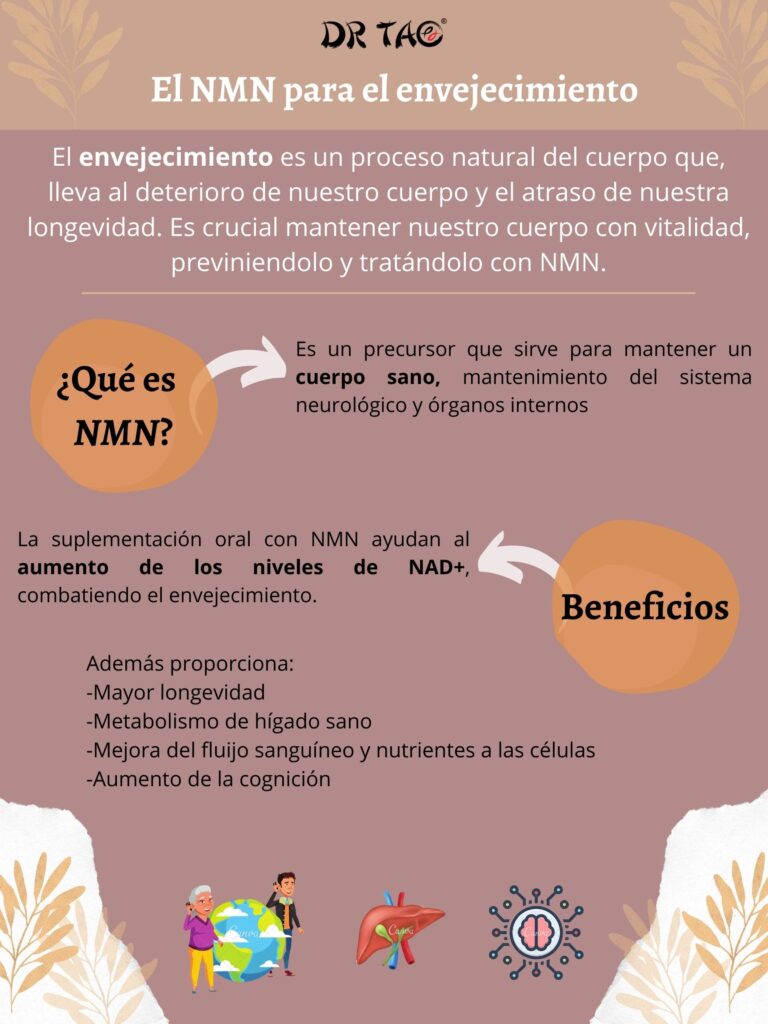 Infografía sobre los beneficios de NMN para el envejecimiento