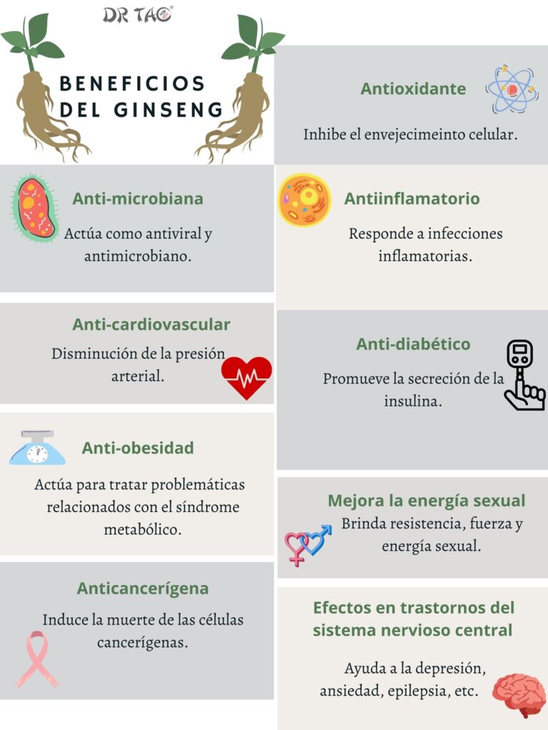 El ginseng tiene beneficios antioxidantes, antimicrobianos, antiinflamatorios, anticancerígena, anti obesidad, entre otros.