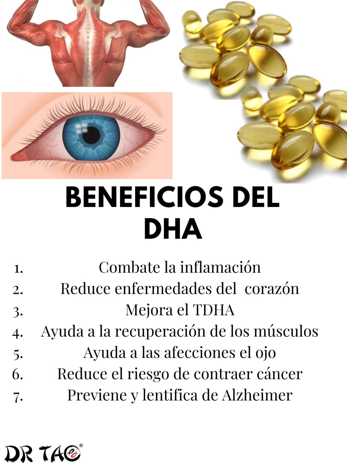 El DHA y su importancia para la salud Dr Tao