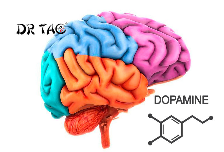 Los suplementos para la depresión: ¿Cómo aumentar la dopamina?