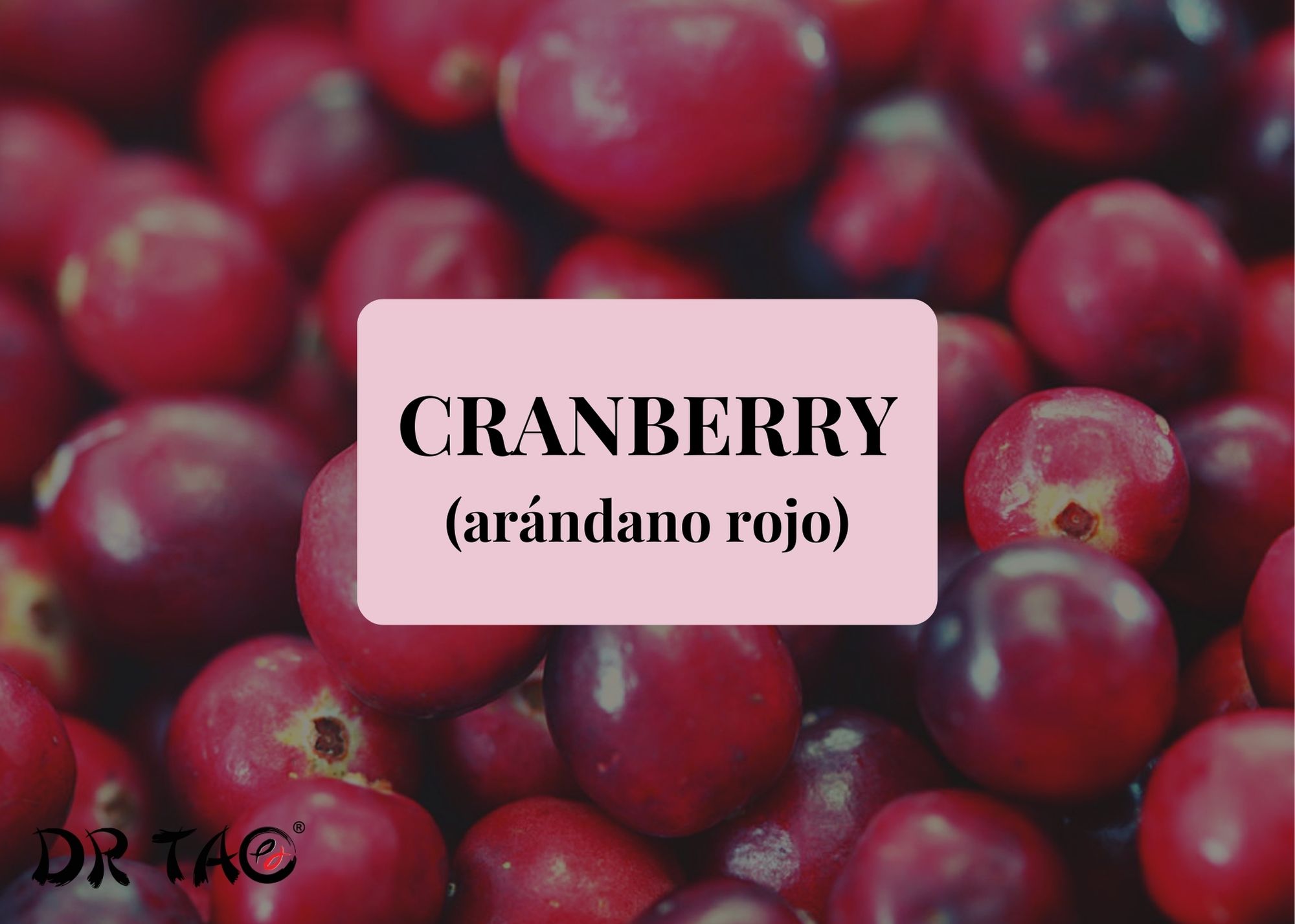 Suplemento de Cranberry
