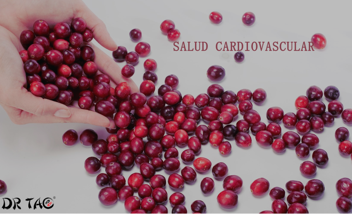 Suplemento de Cranberry: beneficios para la salud cardiovascular